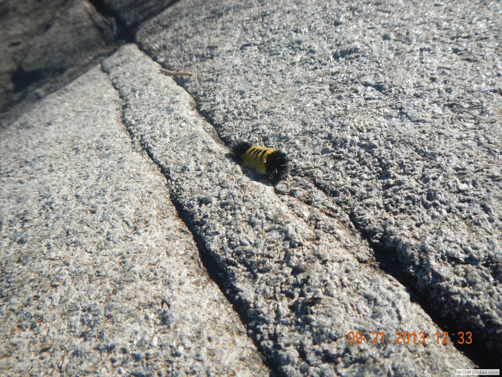 DSCN0048