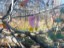 DSCN0051