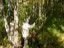 DSCN0090
