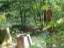DSCN0094