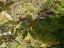 DSCN0096