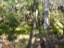 DSCN0115