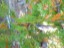 DSCN0120
