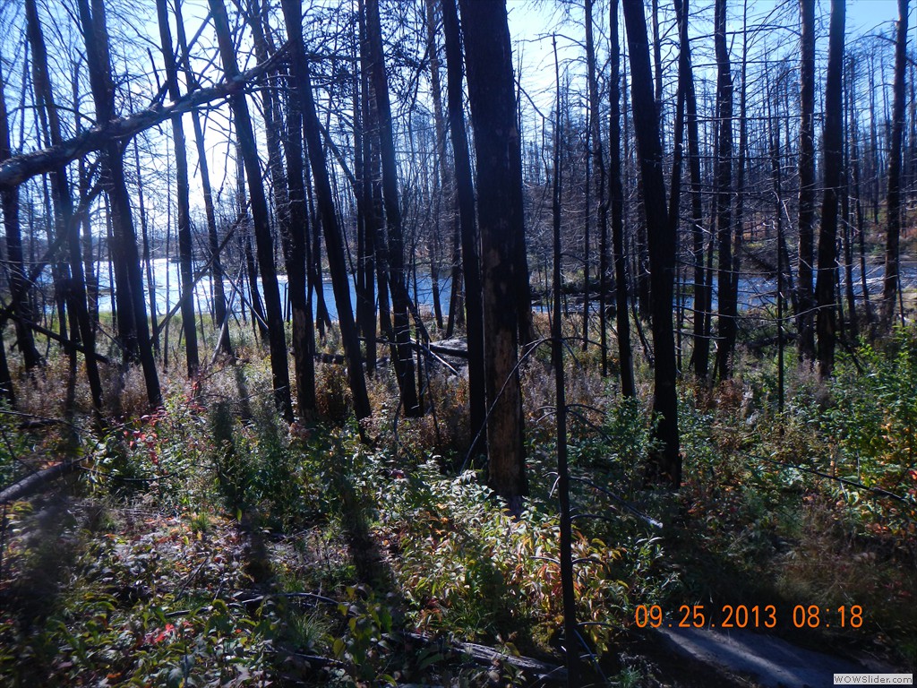DSCN0135