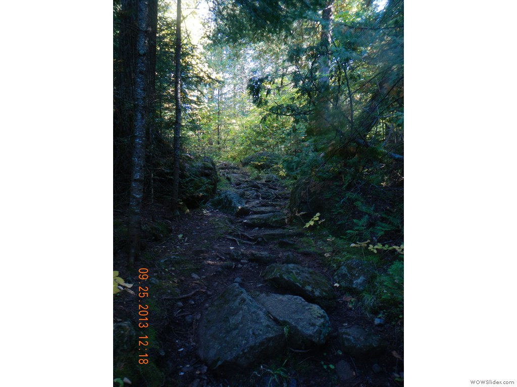 DSCN0142