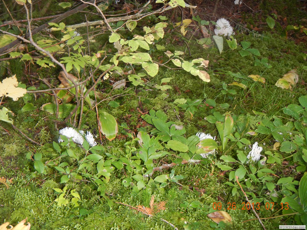 DSCN0158