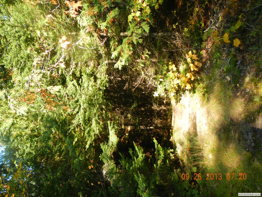 DSCN0163