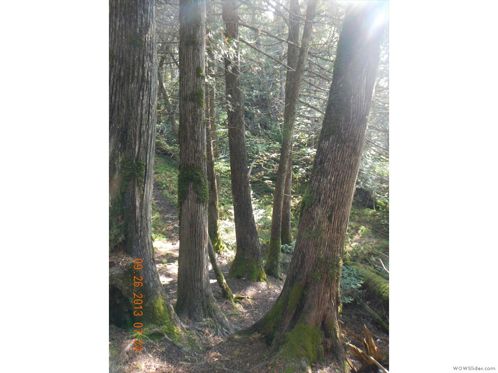 DSCN0165