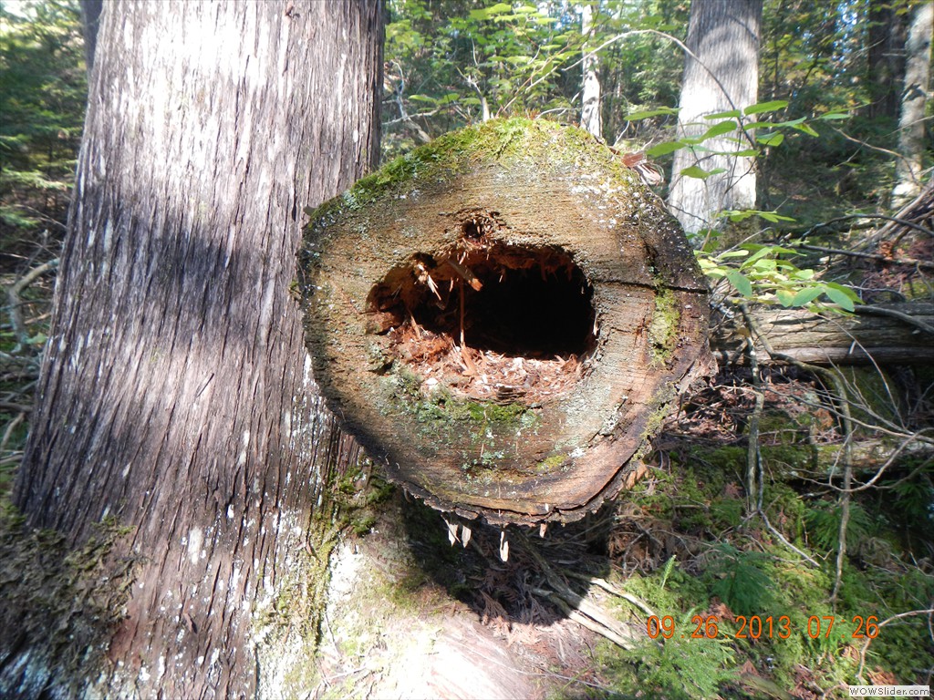 DSCN0167