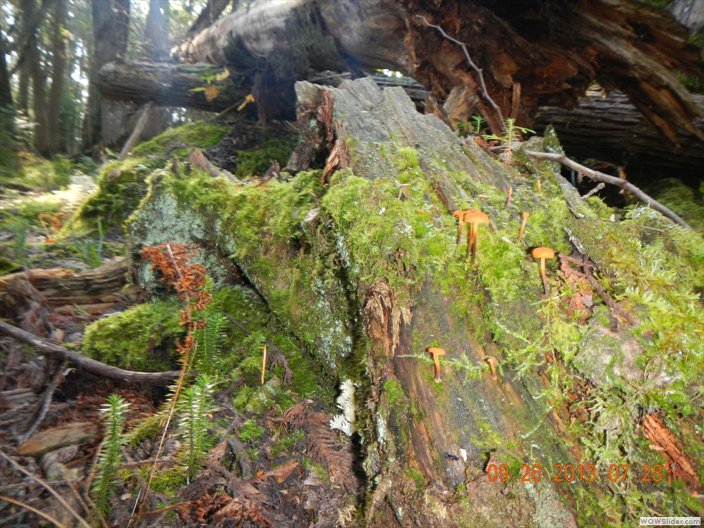 DSCN0169