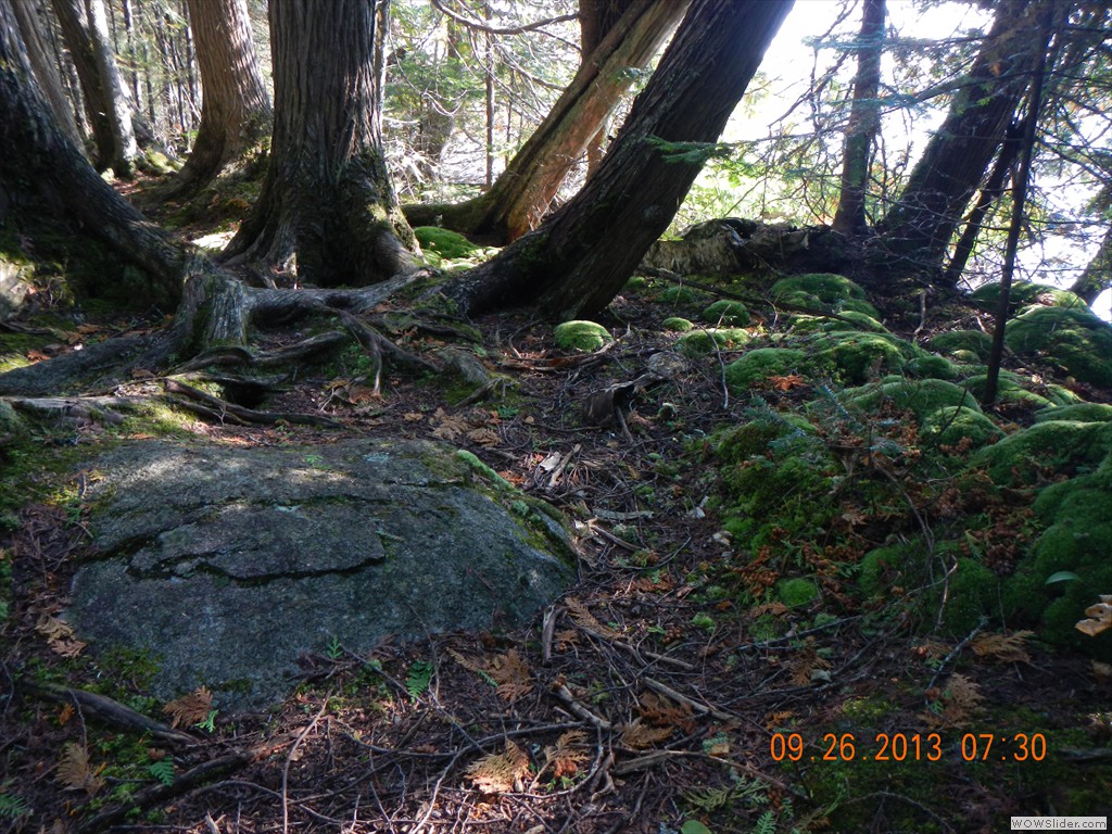 DSCN0171