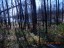 DSCN0135