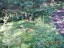 DSCN0161