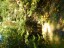 DSCN0163