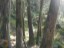 DSCN0165