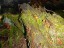 DSCN0168