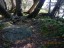 DSCN0171