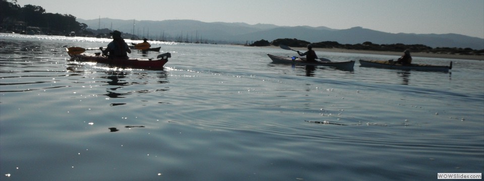 DSCF0084
